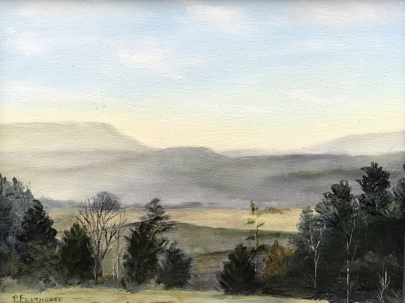 Grey Green Mountains by artist Pat Flathouse